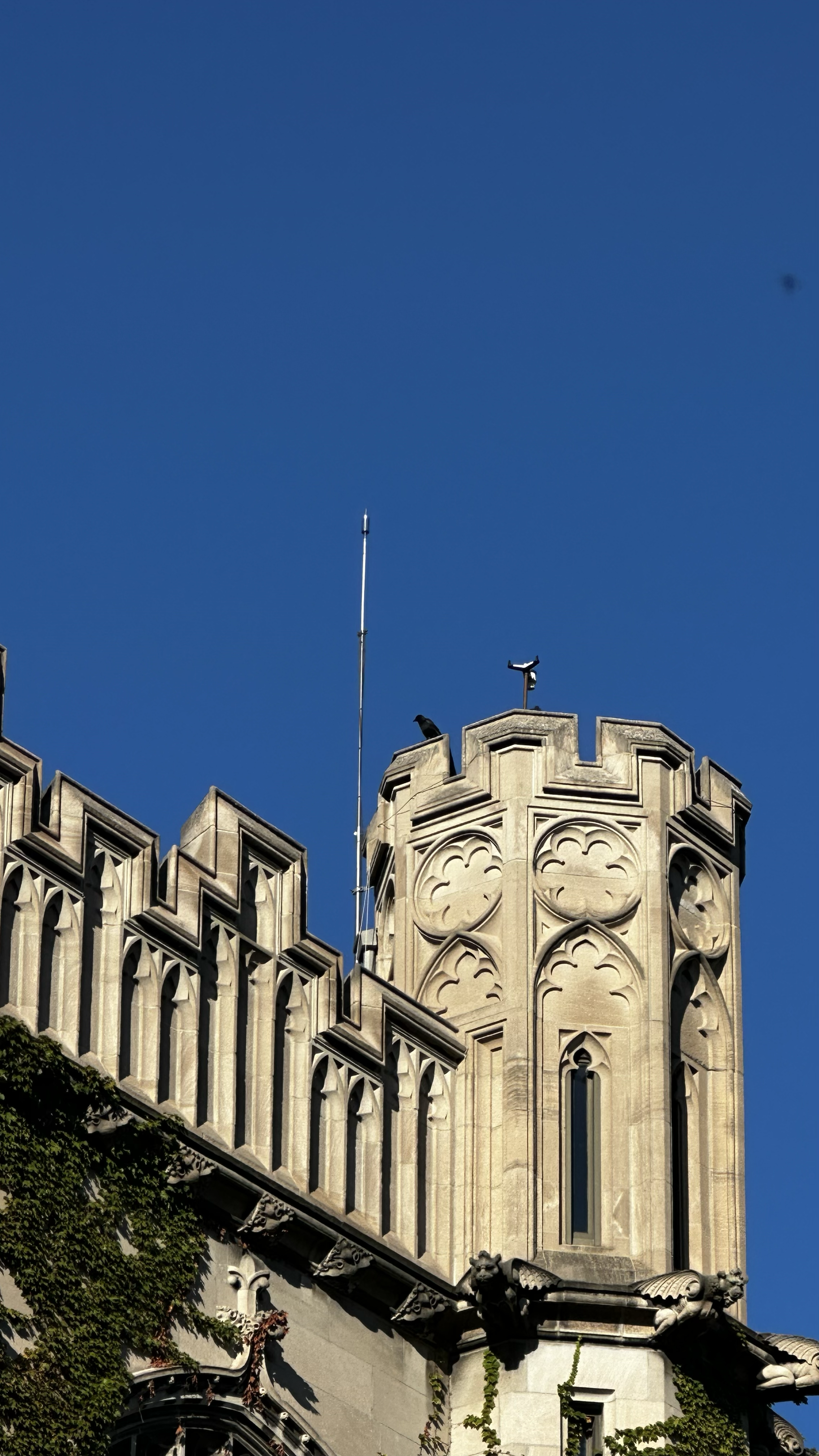 crow perched on top of tower